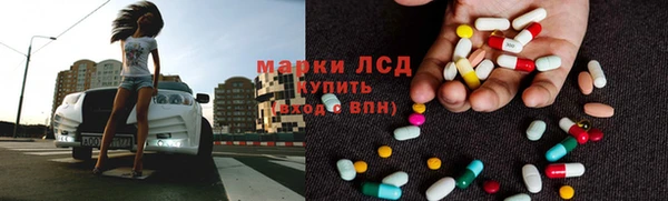 индика Абаза