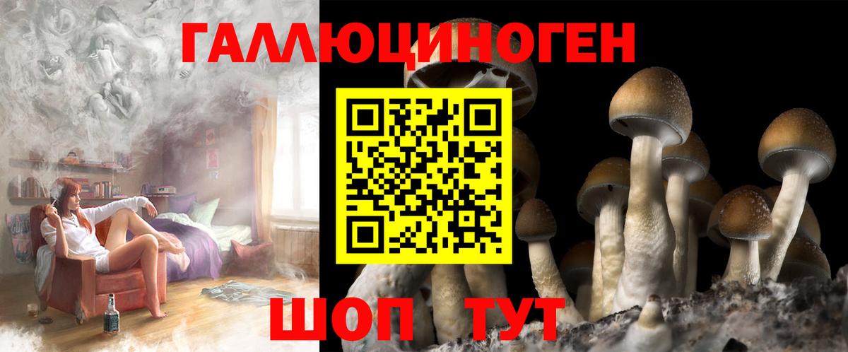 Галлюциногенные грибы GOLDEN TEACHER  Вход с VPN  даркнет сайт  Советская Гавань 